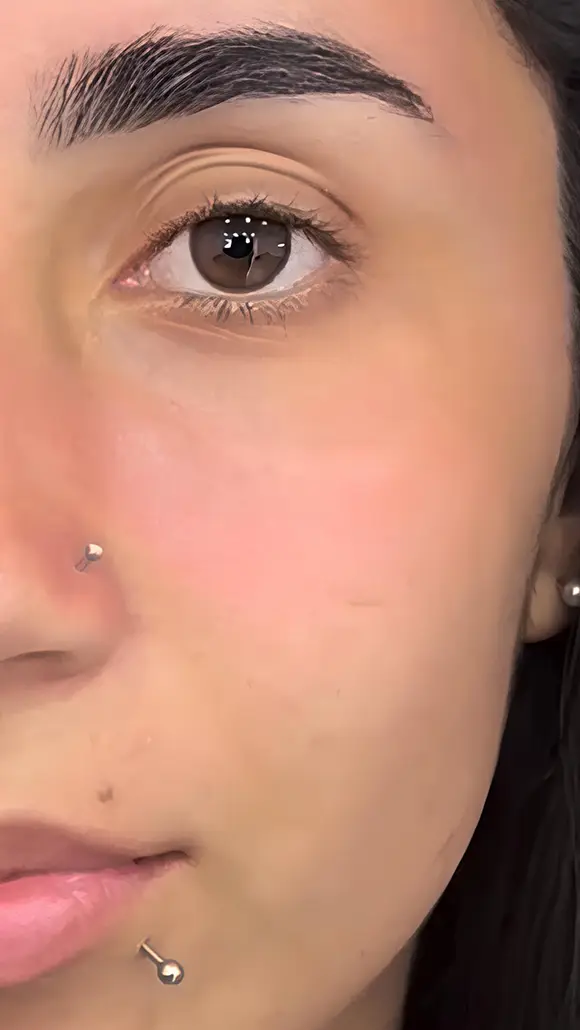 Modelo Antes